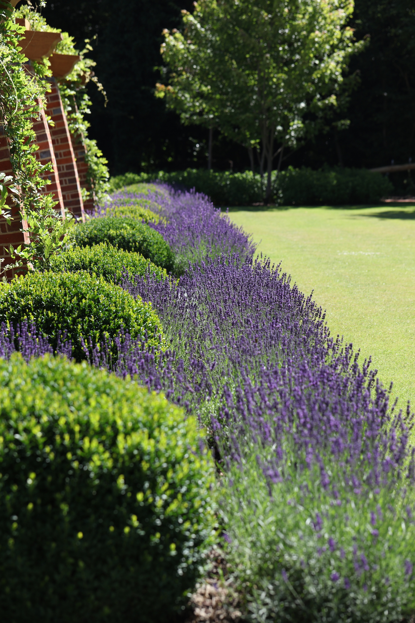 Harpsden Wood House in Henley-on-Thames grounds and gardens estate garden design wisteria pergola walkway