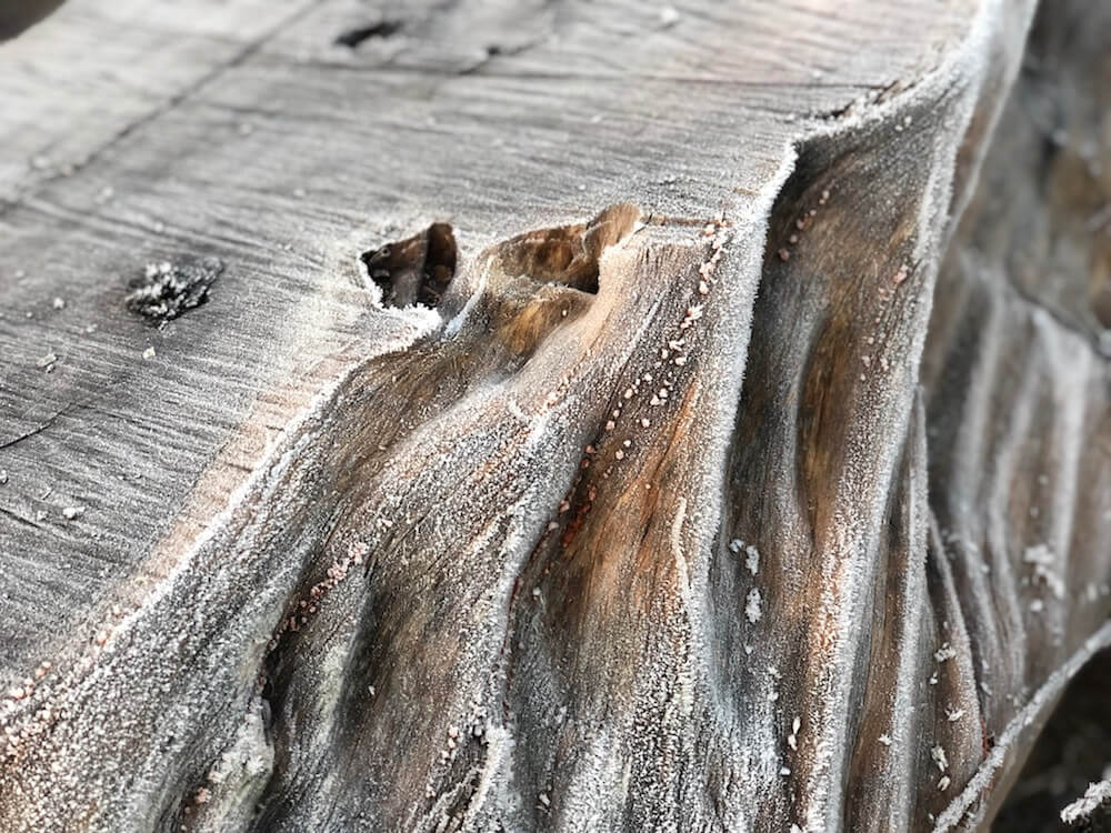wood log from frosty cotswolds landscape