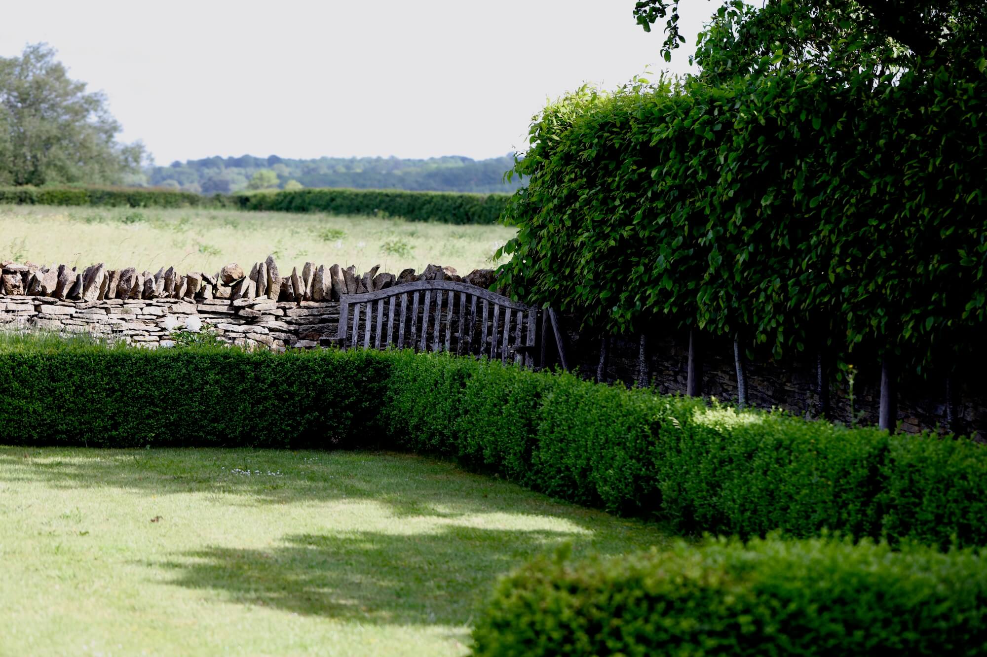 pleached hornbeam trees lining a lawned garden in Kingham