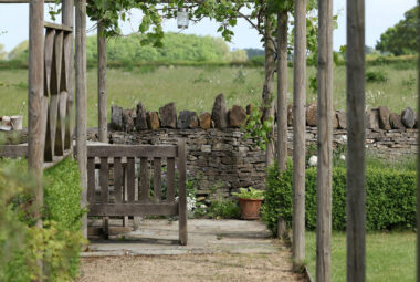 grape vines growing on pergola walkway garden