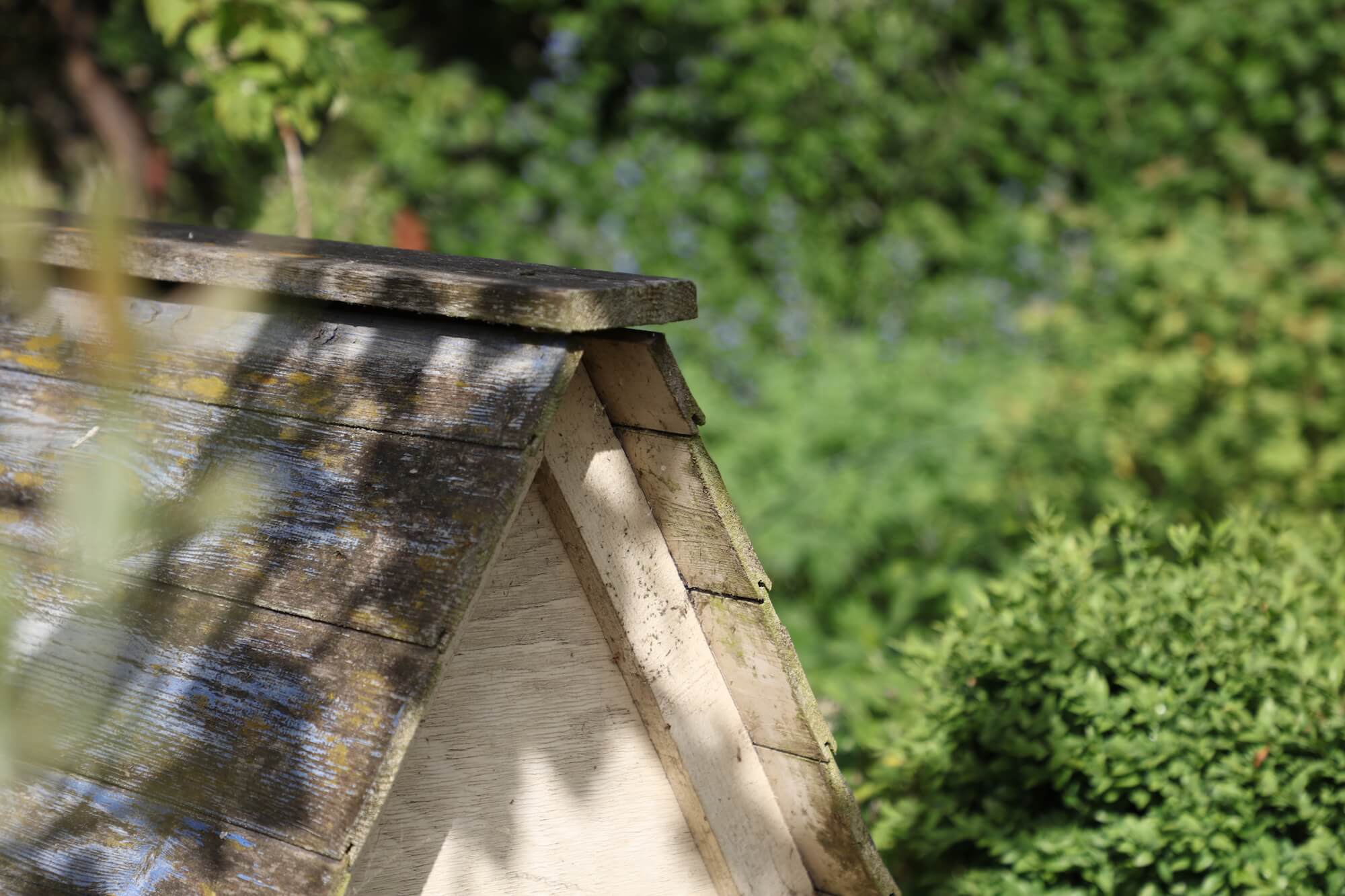 roof of cream coloured chicken coop