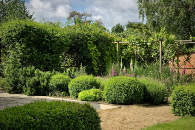 box topiary and cut flowers in a country garden