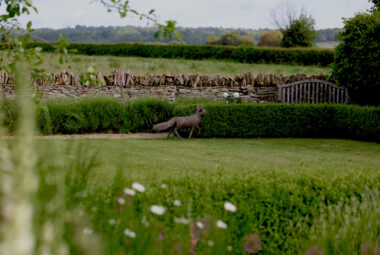 landscape field with willow fox sculpture and drystone walls in Kingham