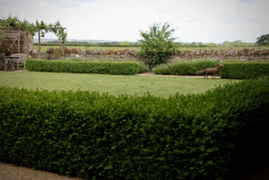 box hedge and green field Kingham