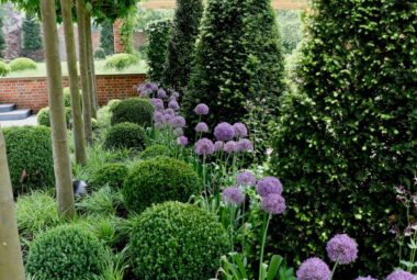 topiary cones and balls with alliums in purple and grasses