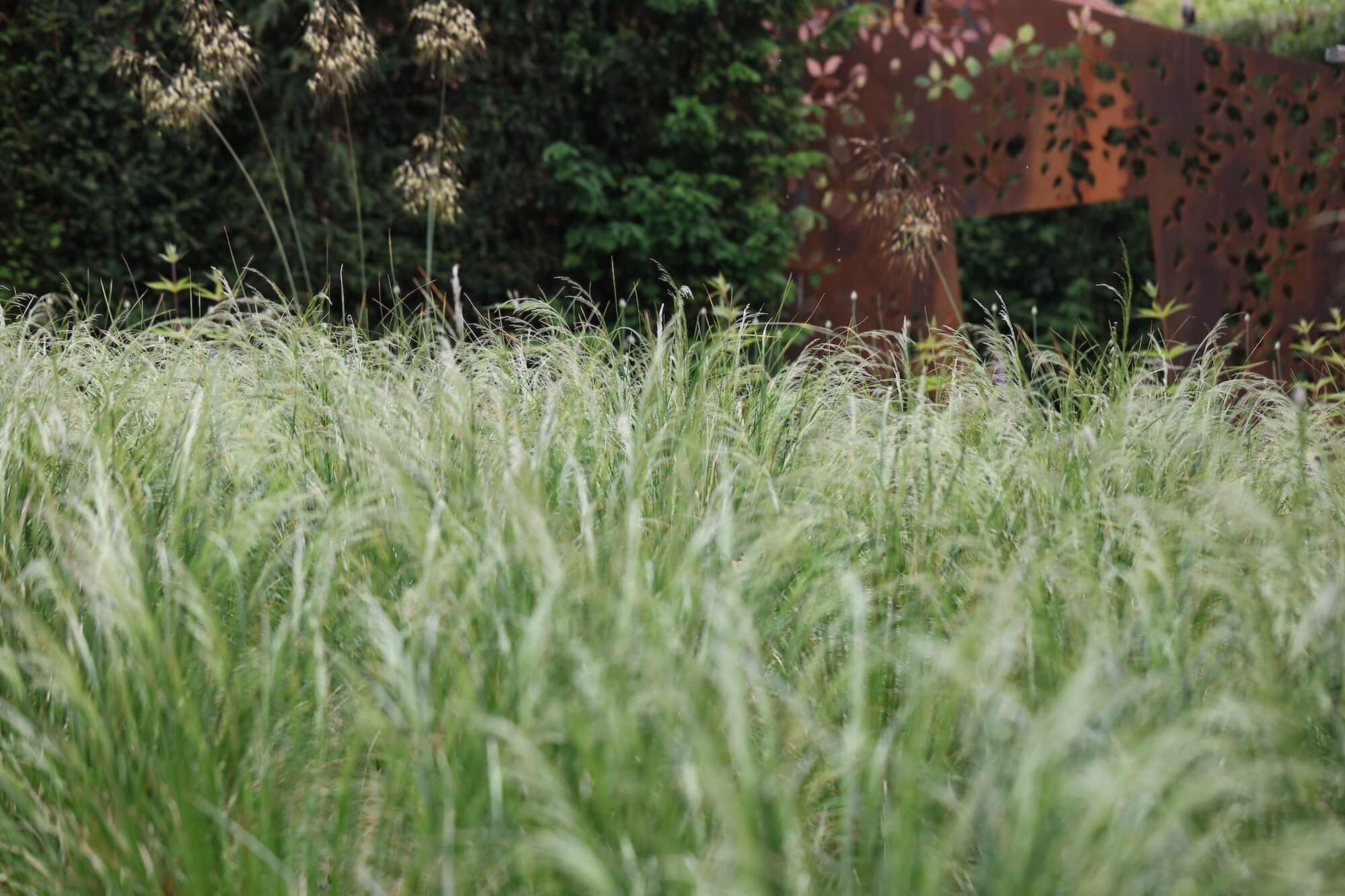 prairie grasses with orange cortex archways