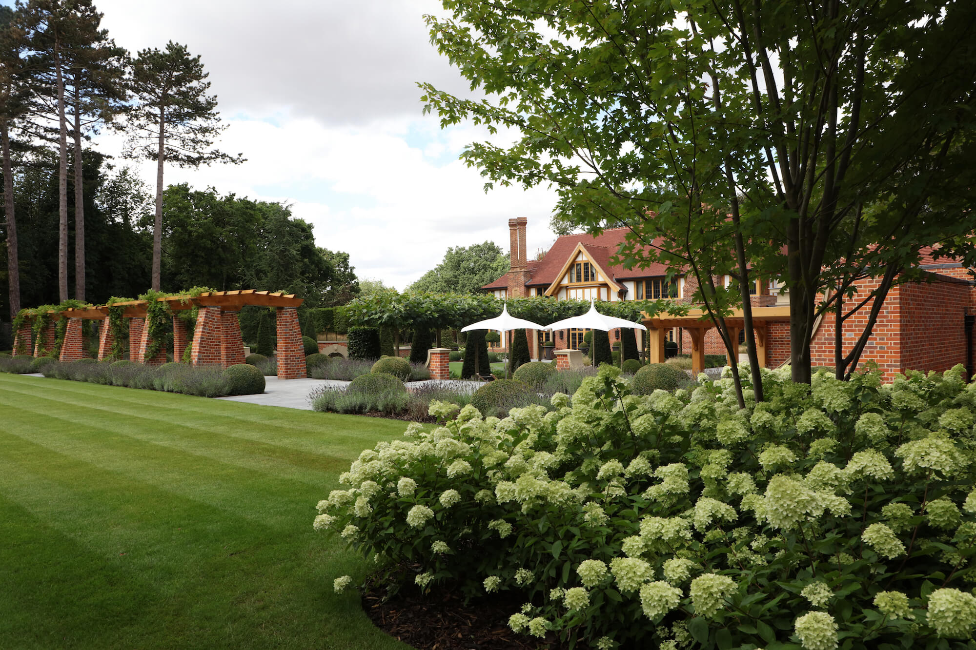 parasols lead to a wisteria walkway and onto a lawn with trees and hydrangeas in a mansion garden