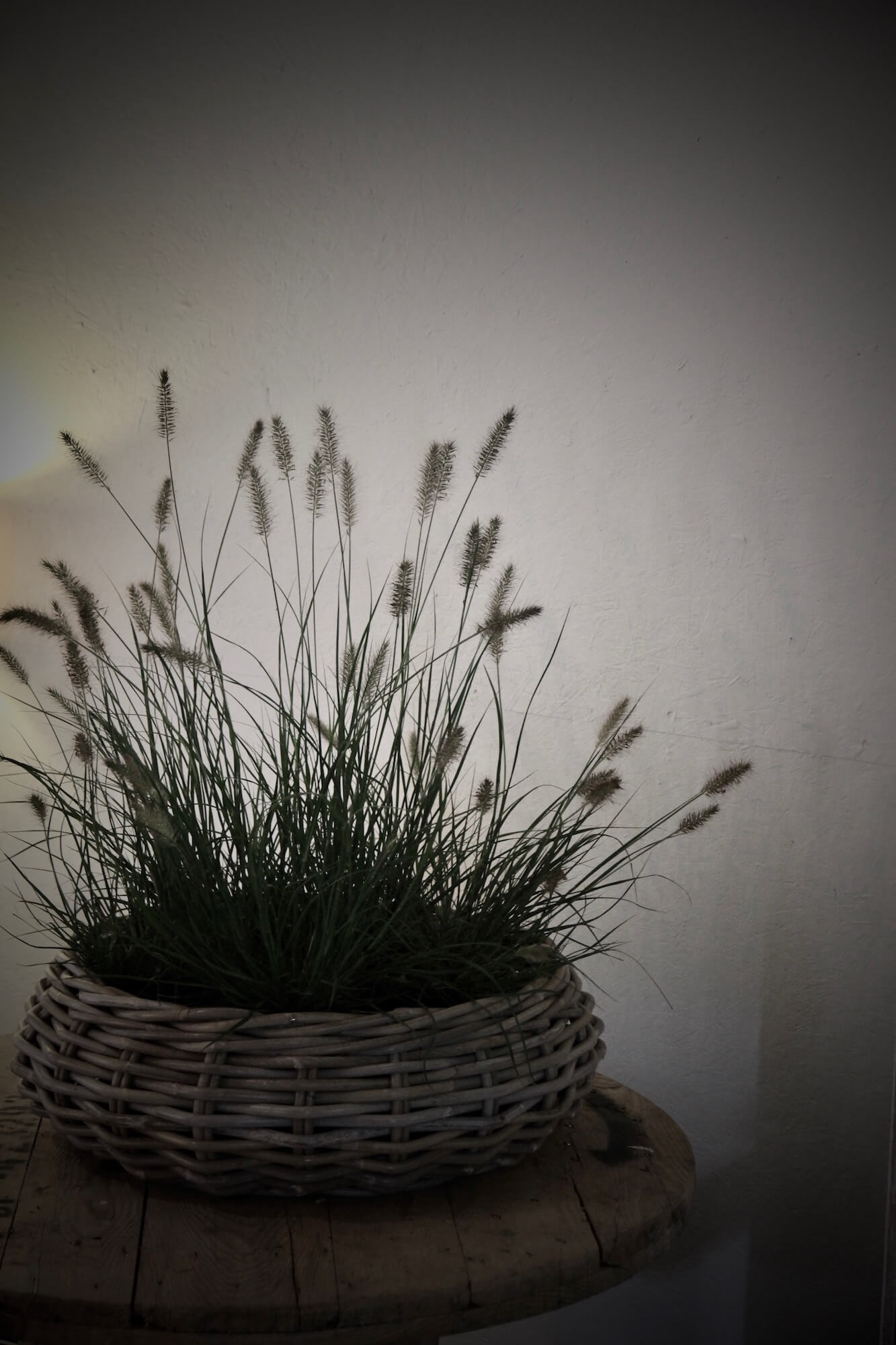 ornamental grasses in a basket in a white candlelit room