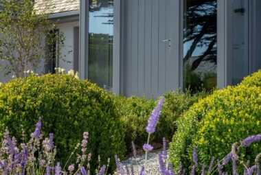 grey house in Cornwall with lavender plants in front