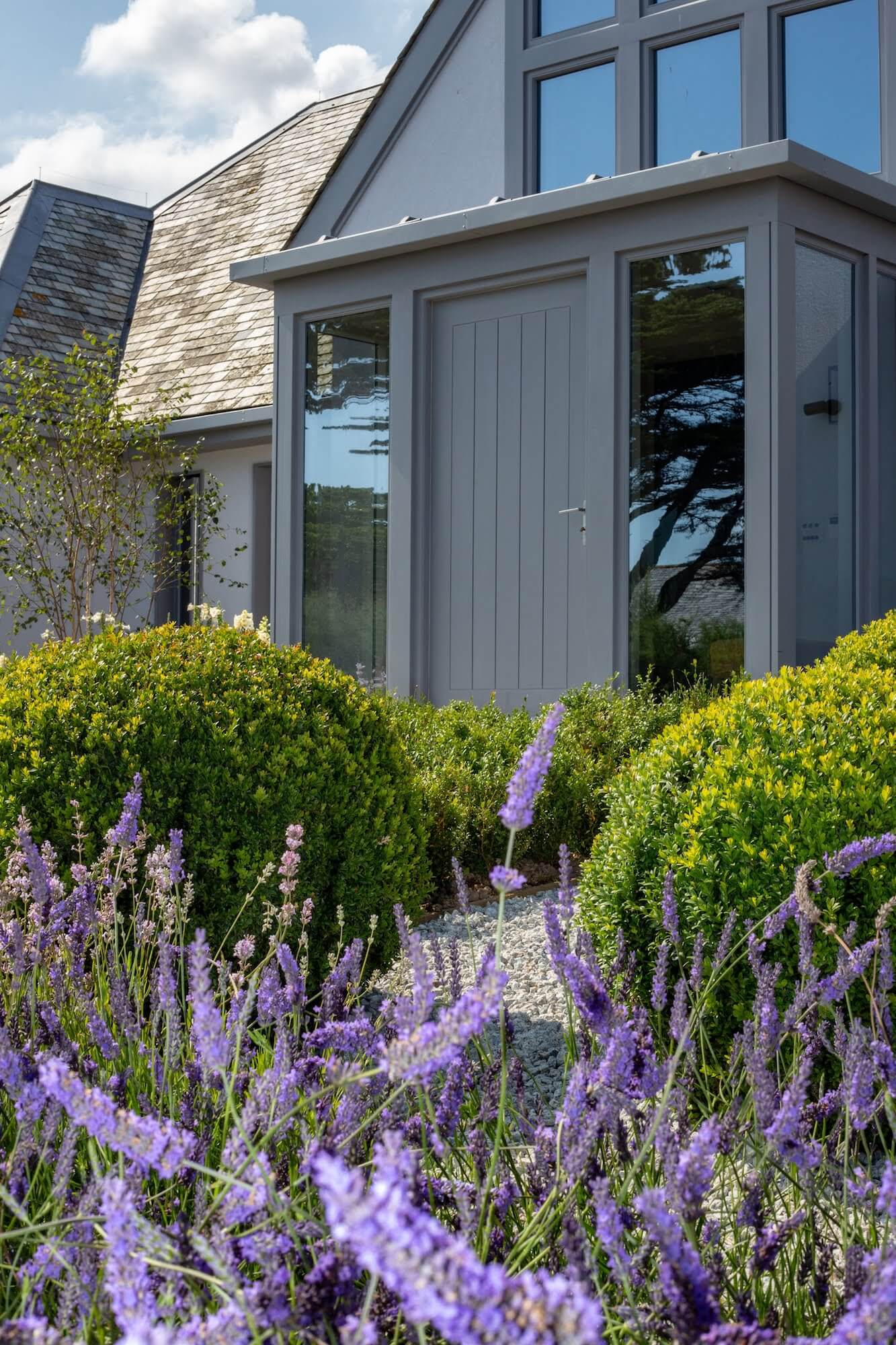 grey house in Cornwall with lavender plants in front