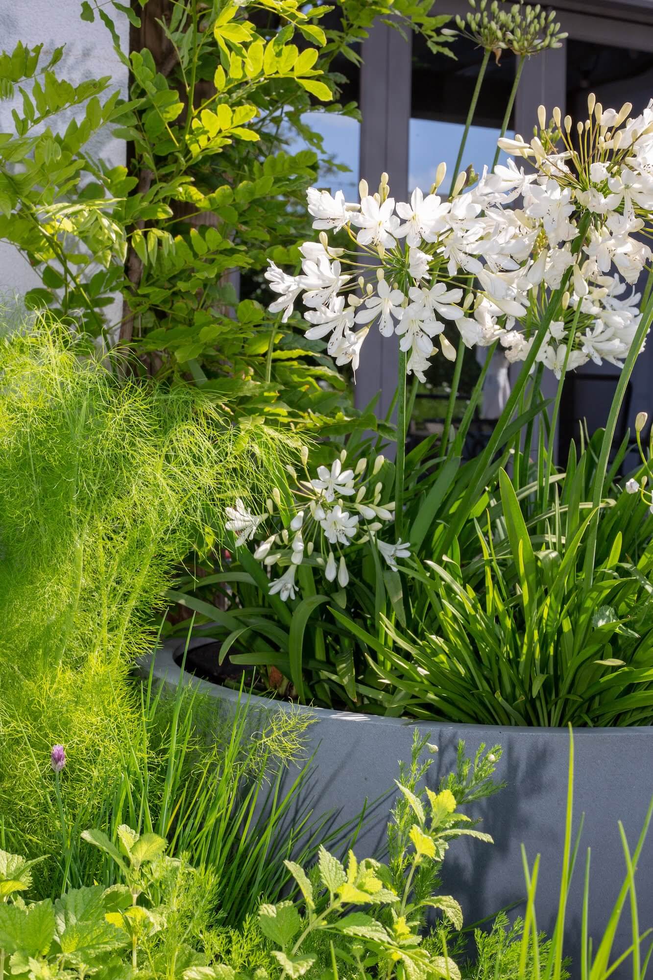 herb garden in Cornwall