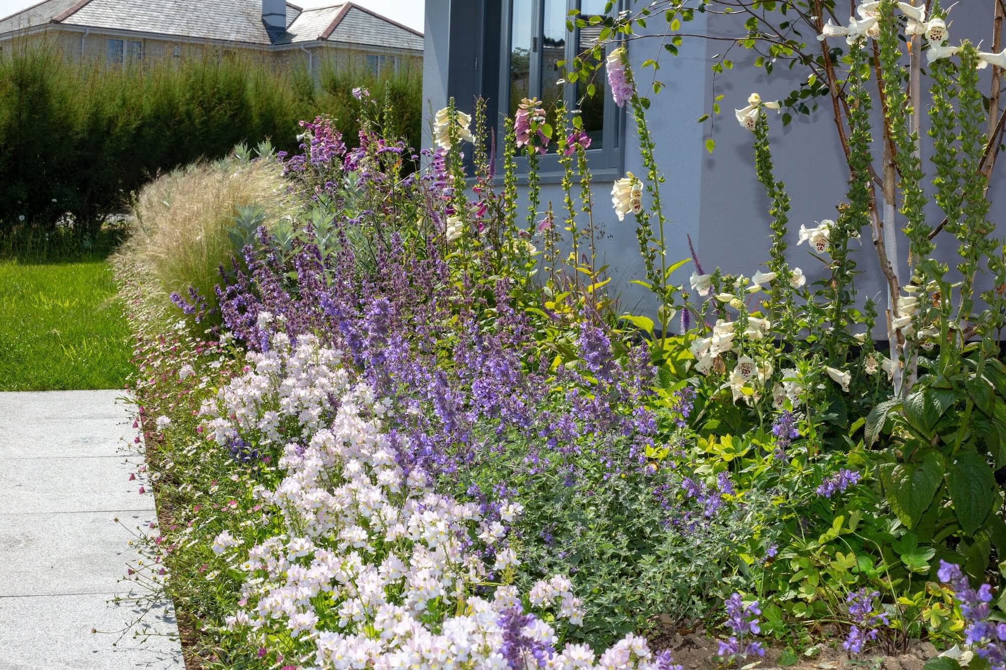 coastal garden flowers in sherbet colours