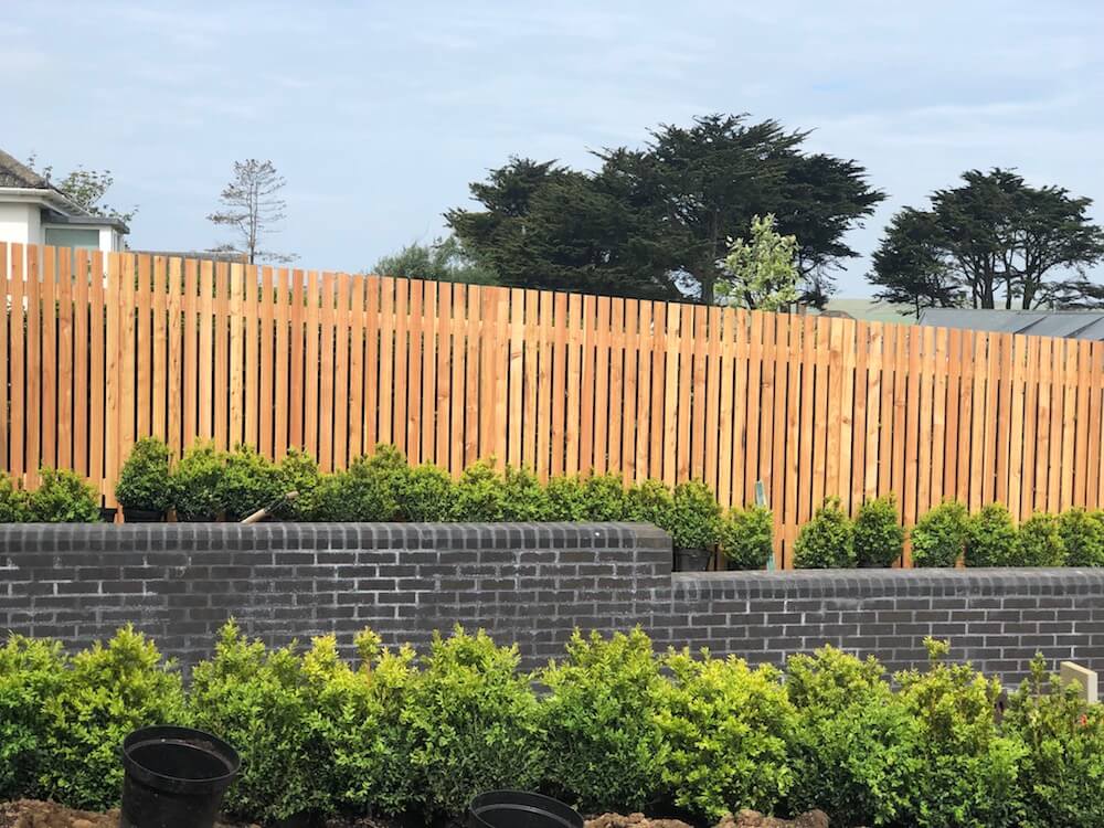 tulip wood slatted fence and black brick wall with Buxus hedge
