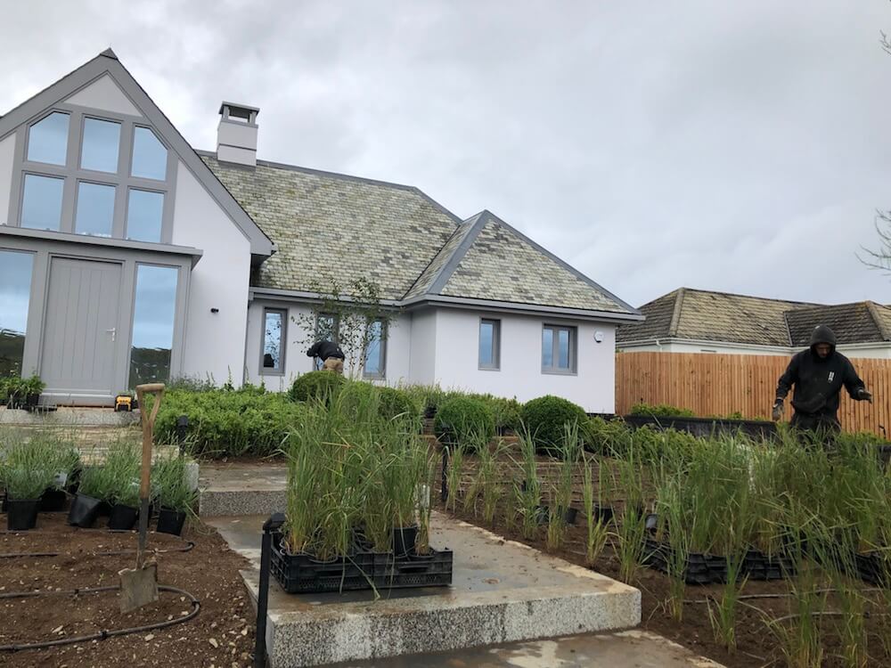 gloomy Cornwall front garden being planted