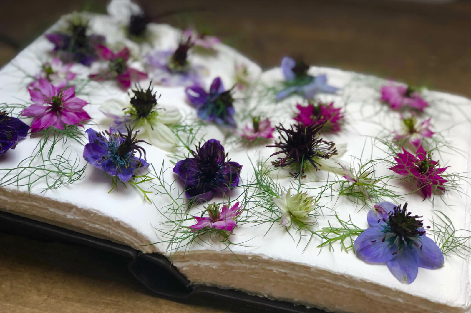 a book of living Nigella flower heads