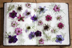 a white book filled with live Nigella flowers at Harpsden Wood House