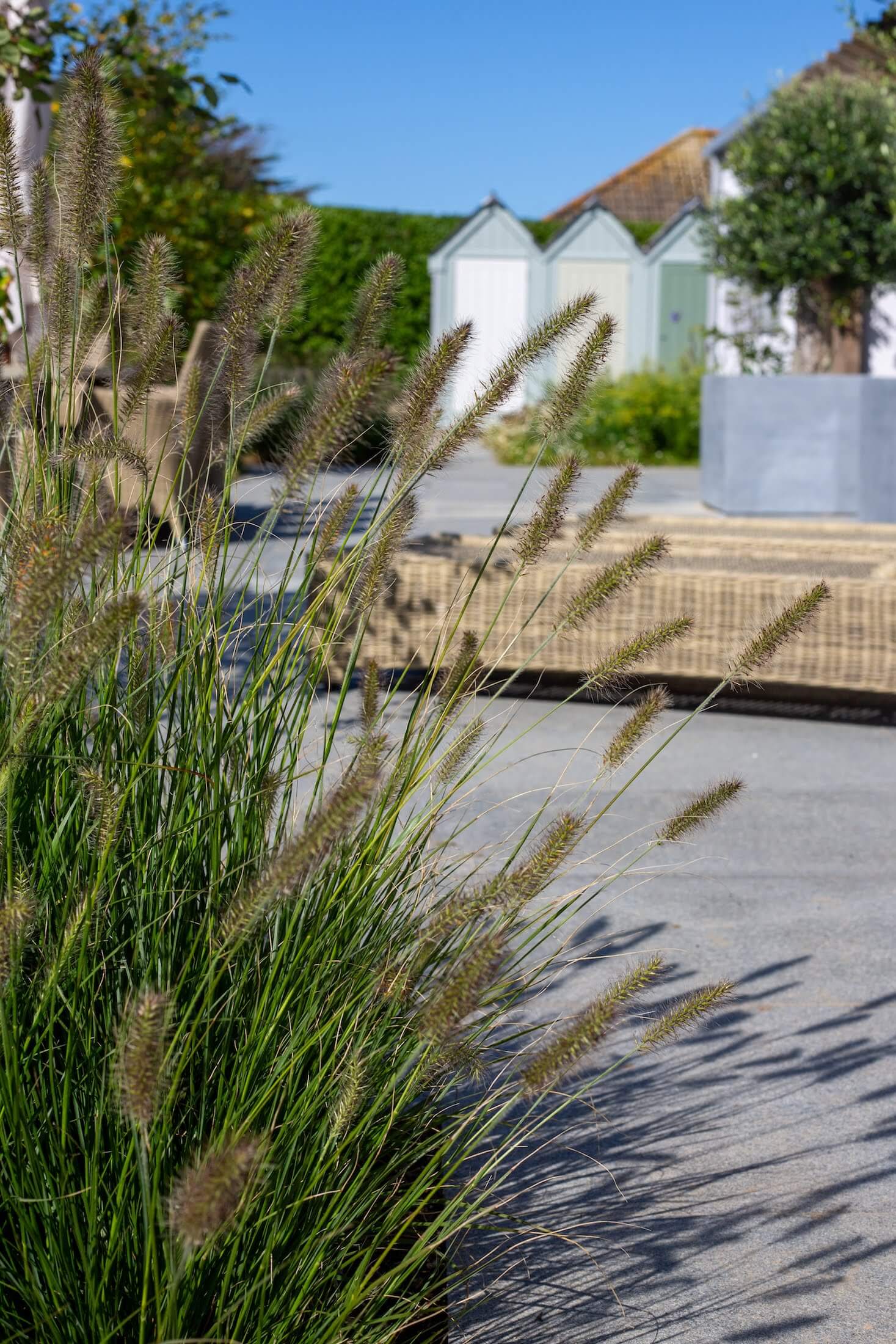 modern coastal garden with rows old wildflowers and prairie style planting and beach huts