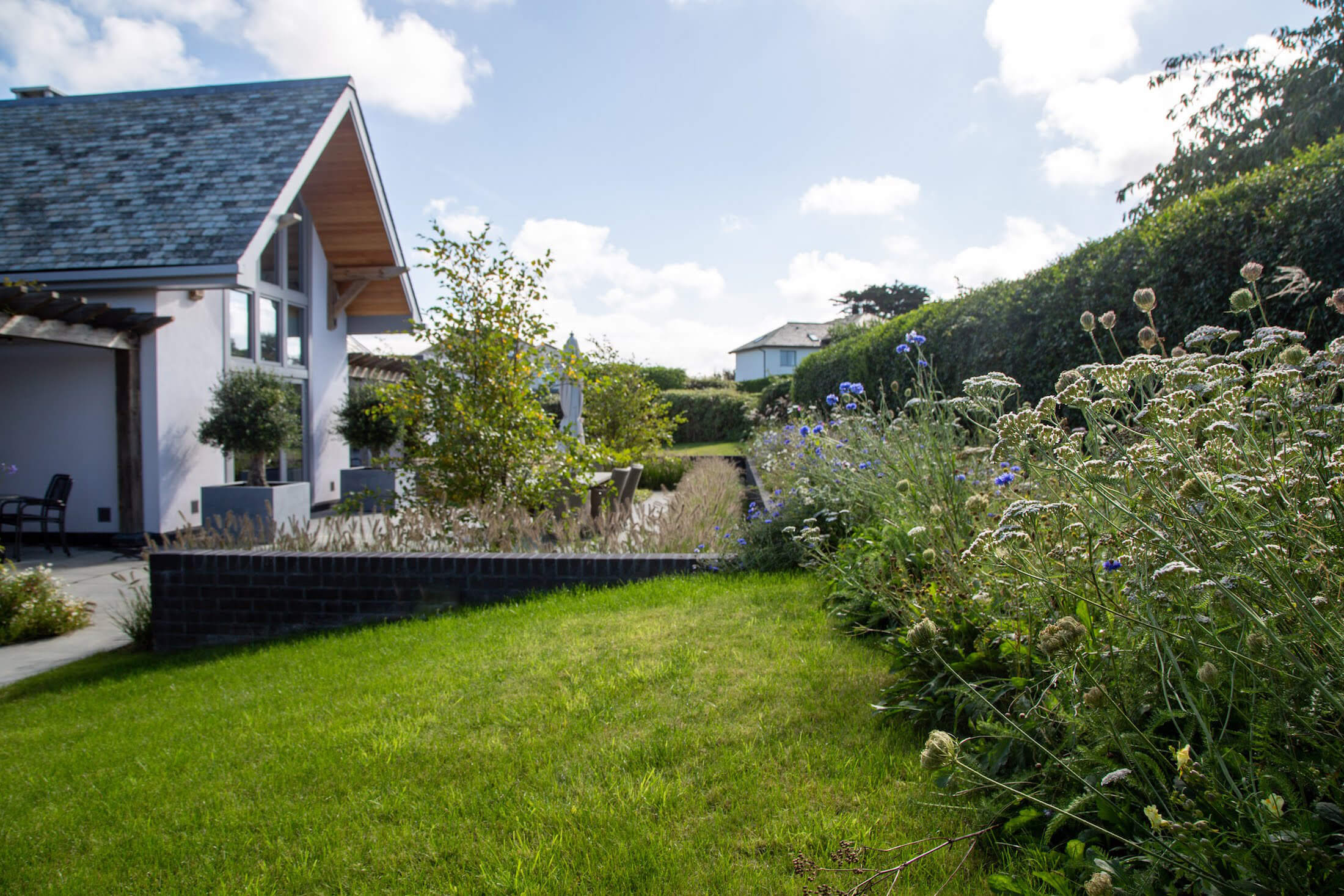 modern coastal garden with rows old wildflowers and prairie style planting large house and lawn