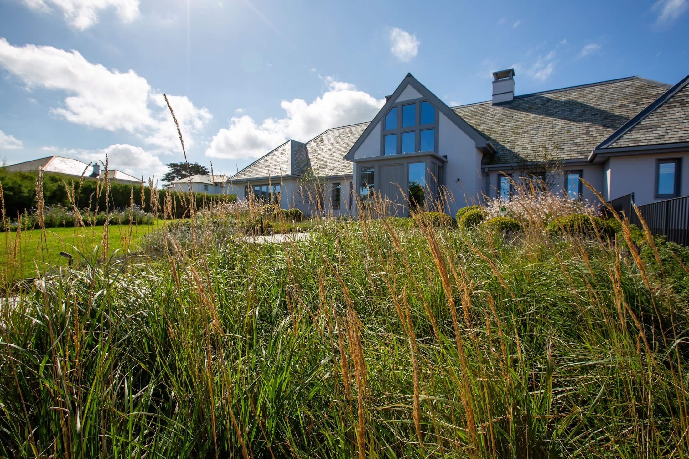 modern coastal garden with rows old wildflowers and prairie style planting on a hill