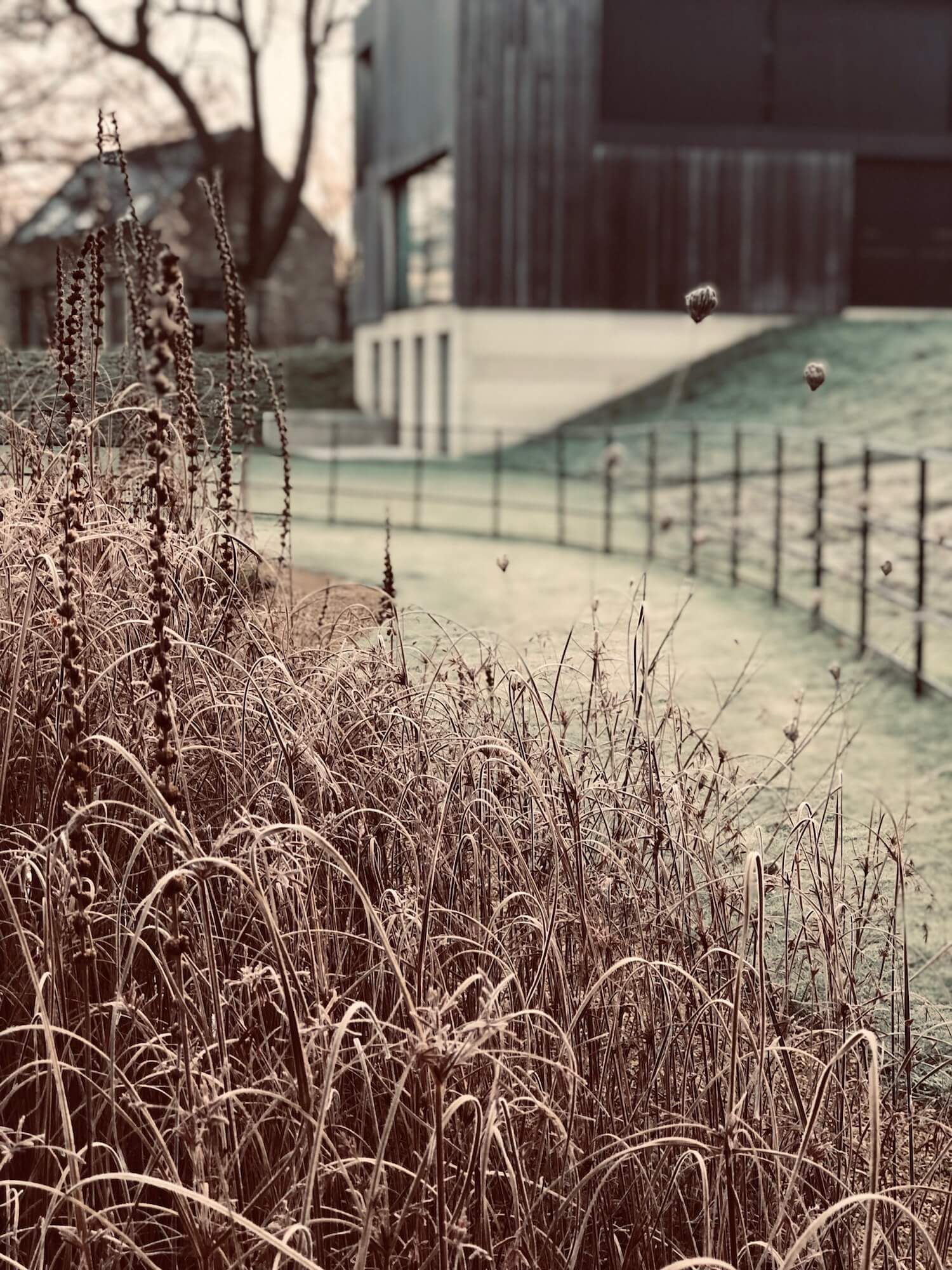 vintage colour shot of reeds and grasses by a pool and estate fencing