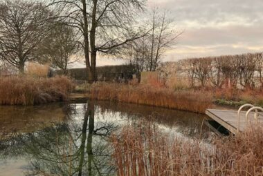 a natural swimming pool on an autumn morning with a tree reflected in the water