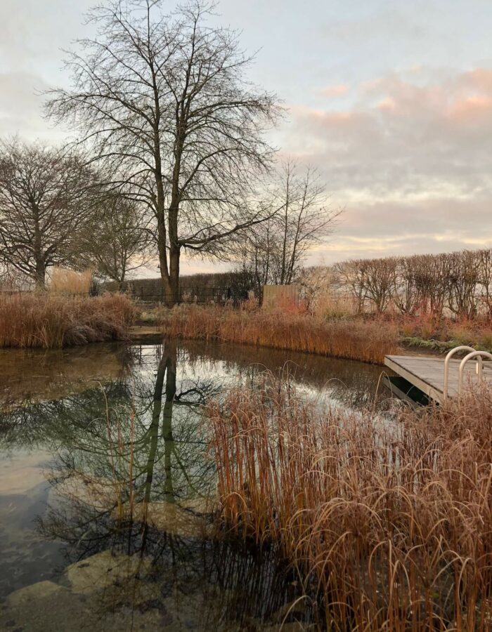 a natural swimming pool on an autumn morning with a tree reflected in the water