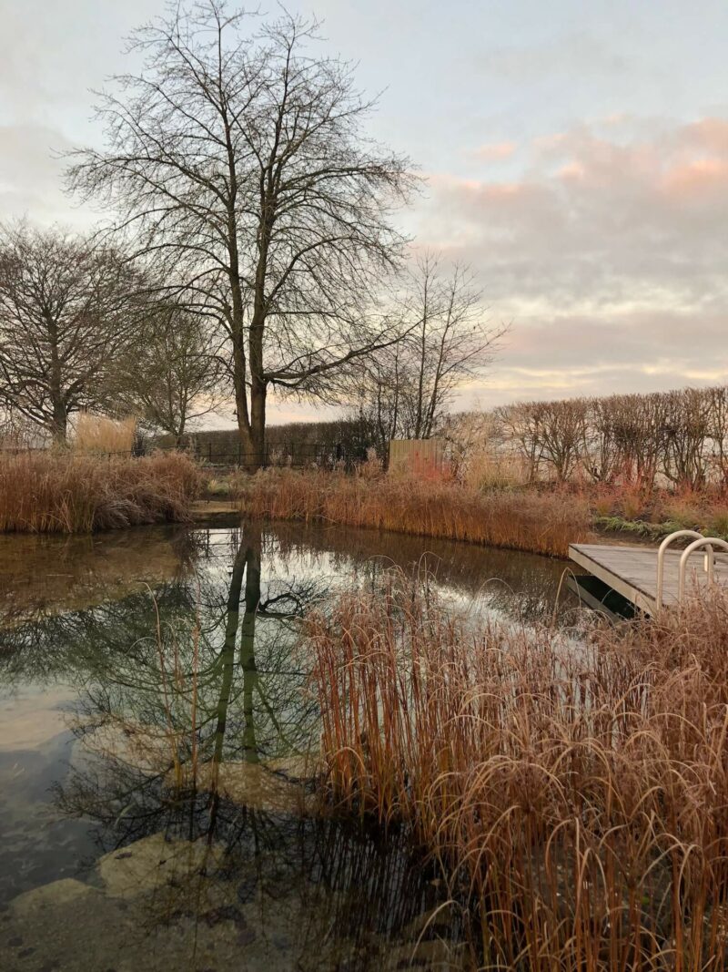 a natural swimming pool on an autumn morning with a tree reflected in the water