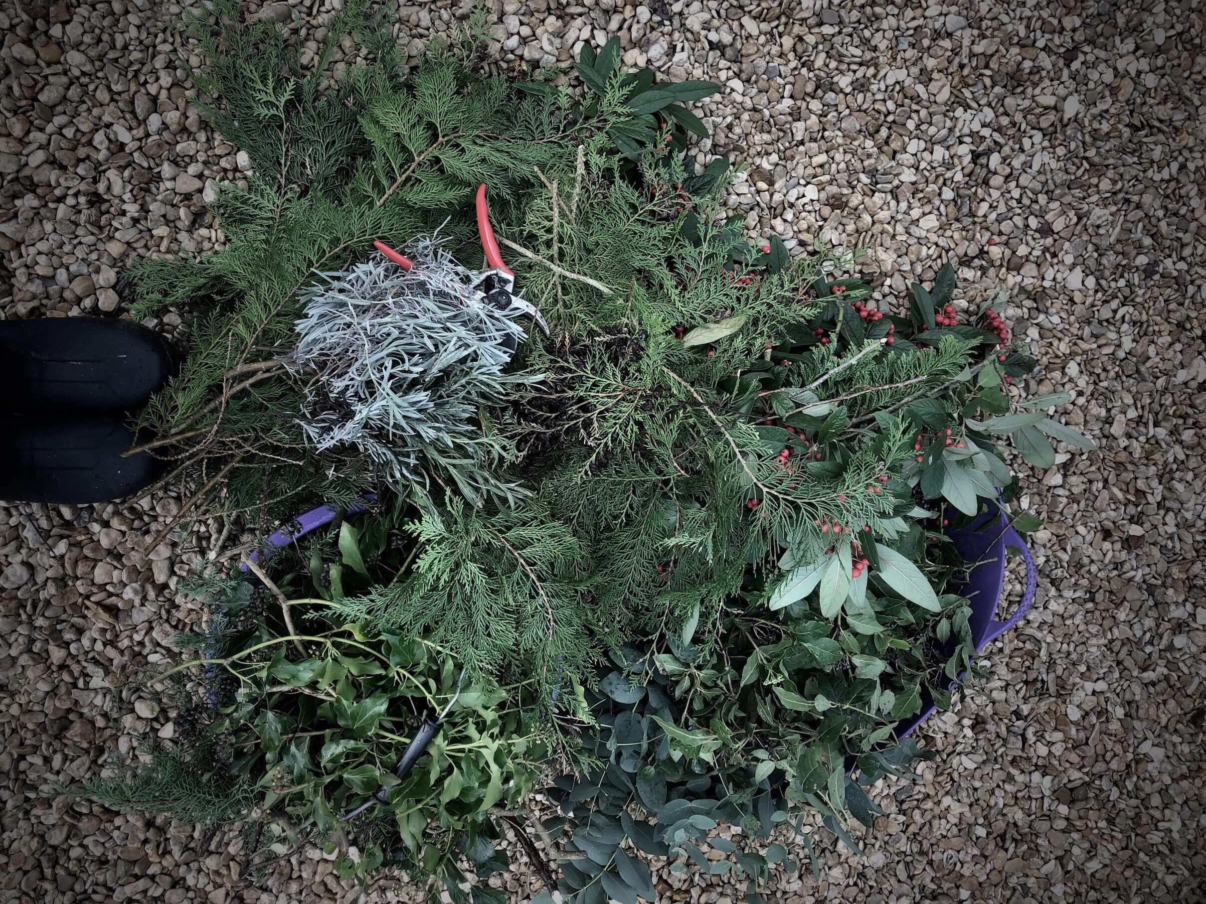 foraged cuttings and feet