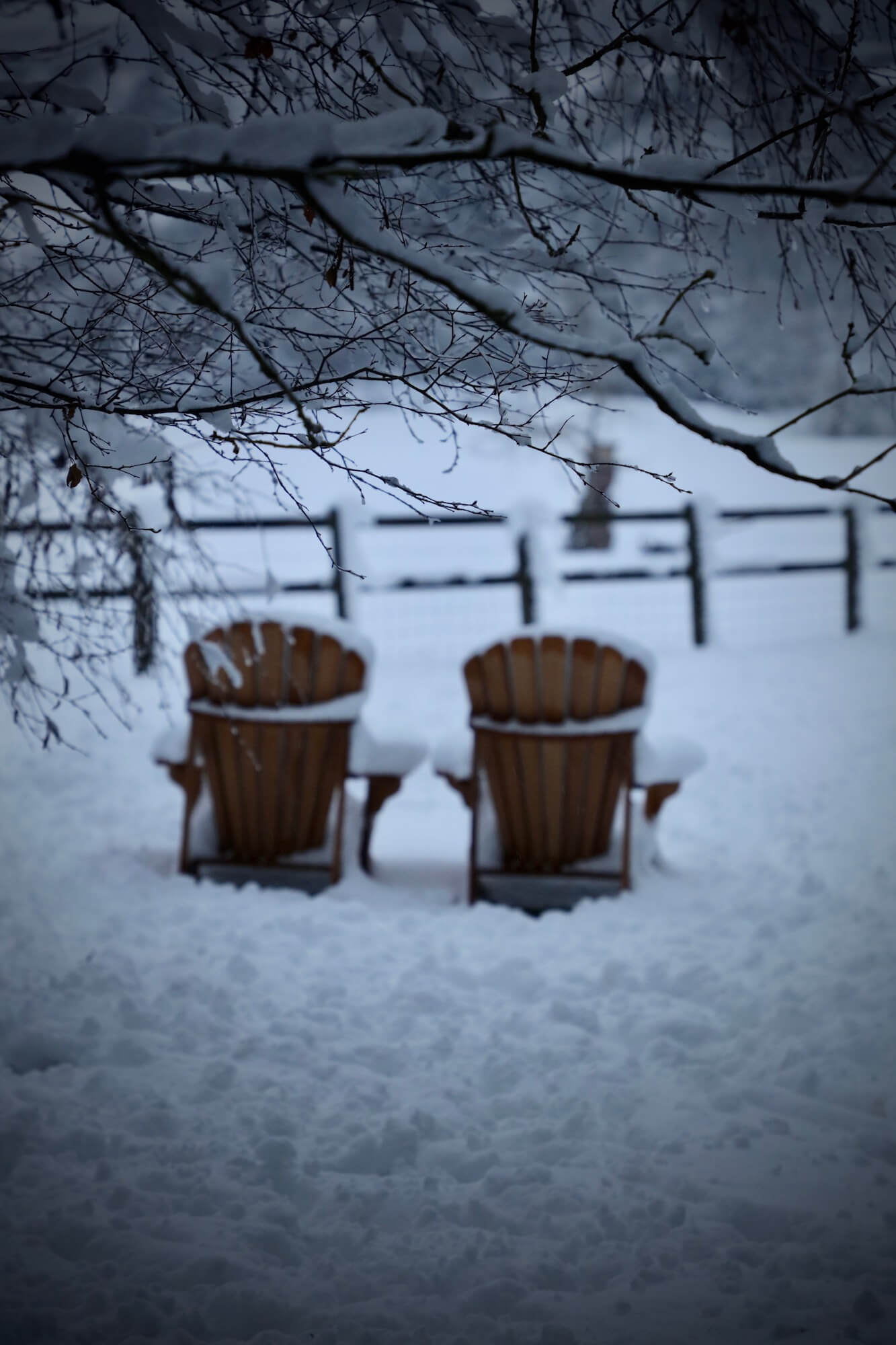 Adirondack garden chairs in snow