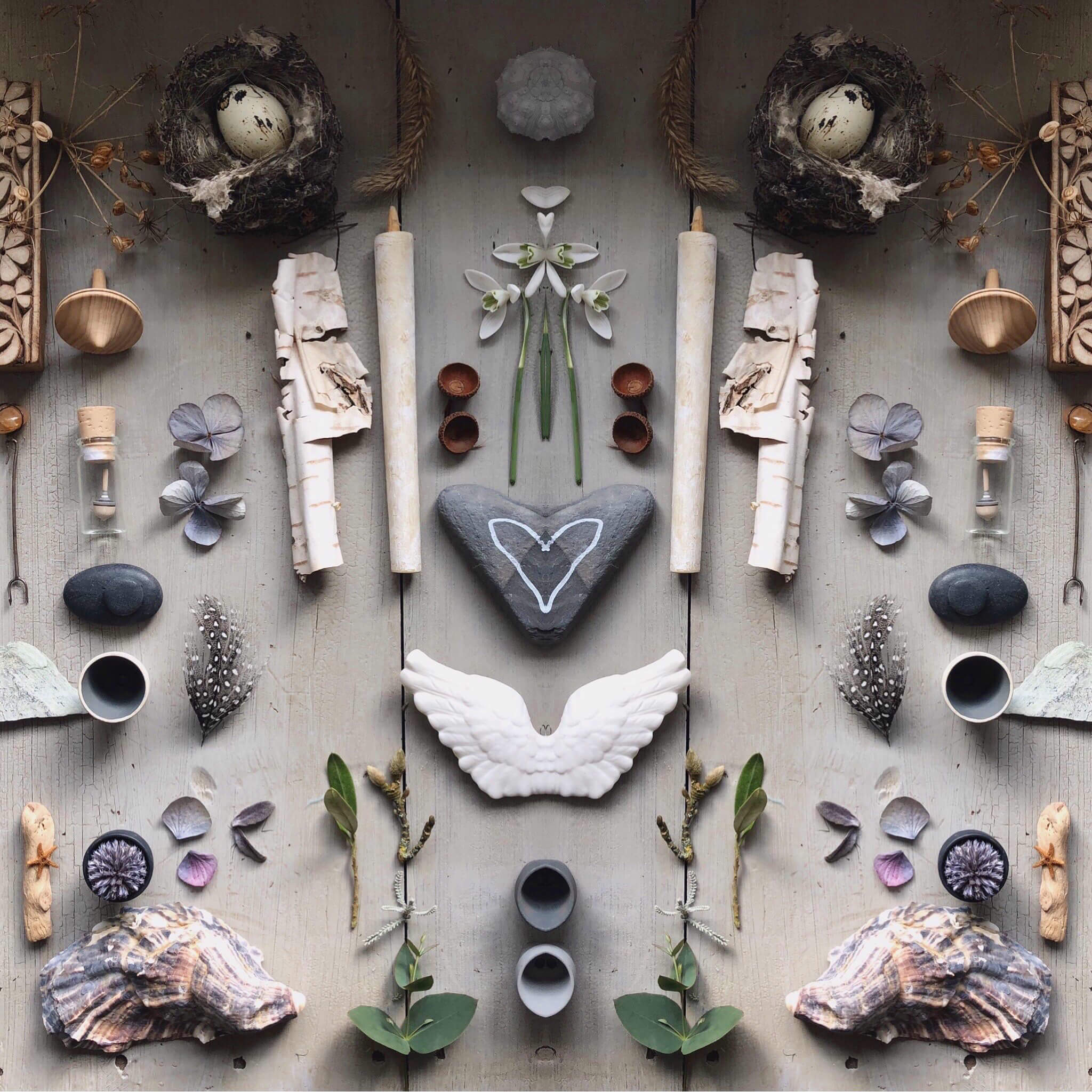 grey table with winter foraged objects from a garden