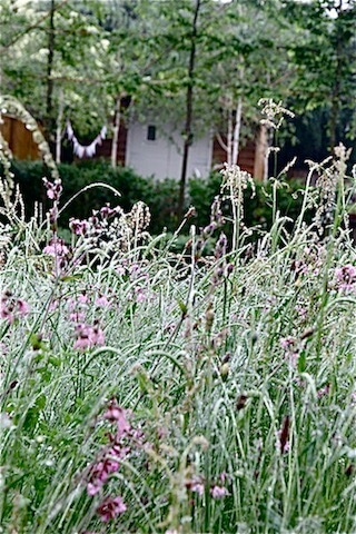 mini meadow and garden office