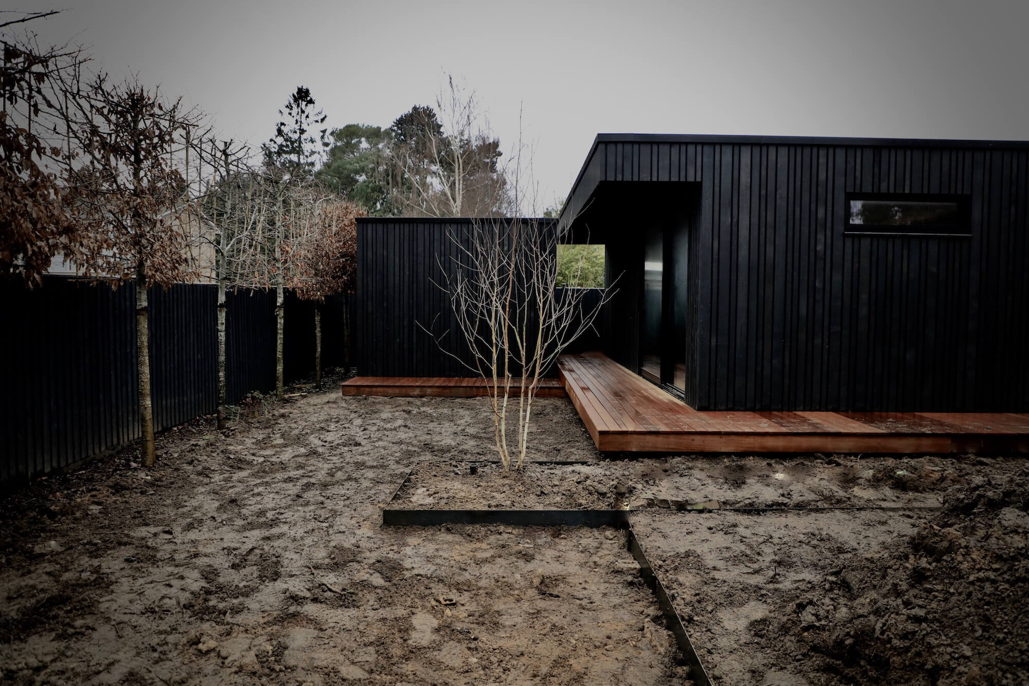 black bespoke garden building in winter with white birch tree