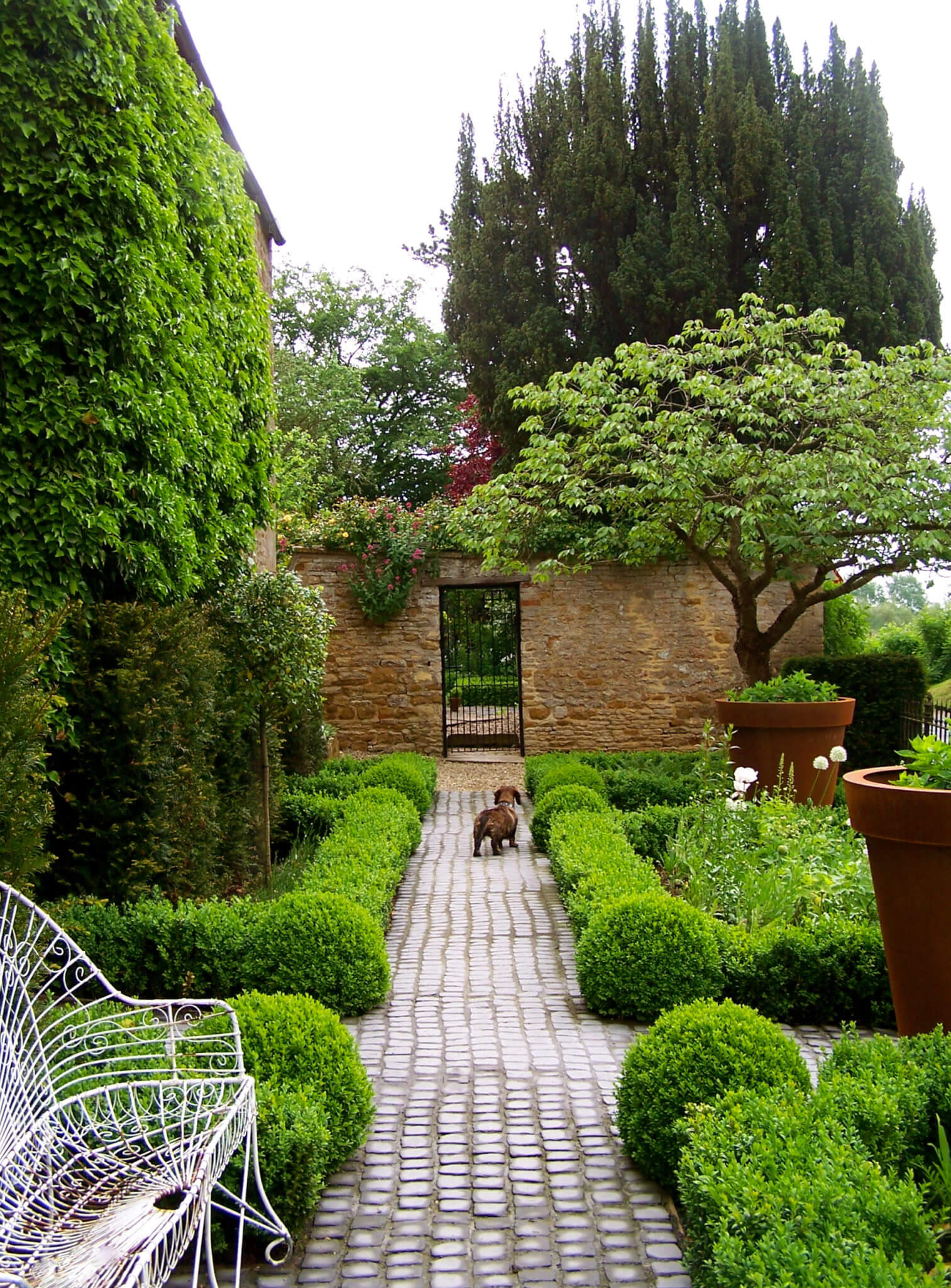 Judge's House in Kingham green front garden with little dog on cobbled path by Hendy Curzon Gardens