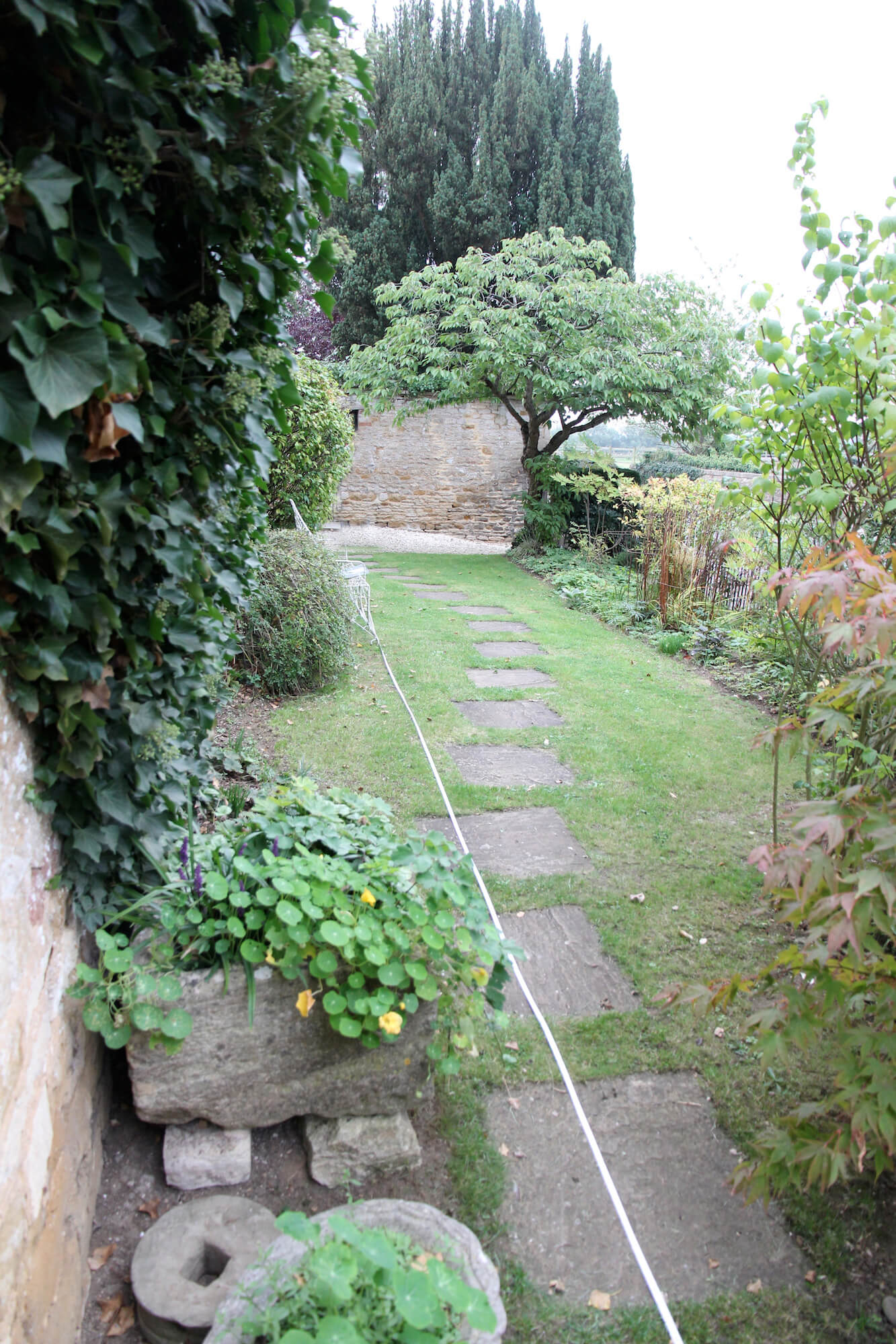 a before garden photo front garden