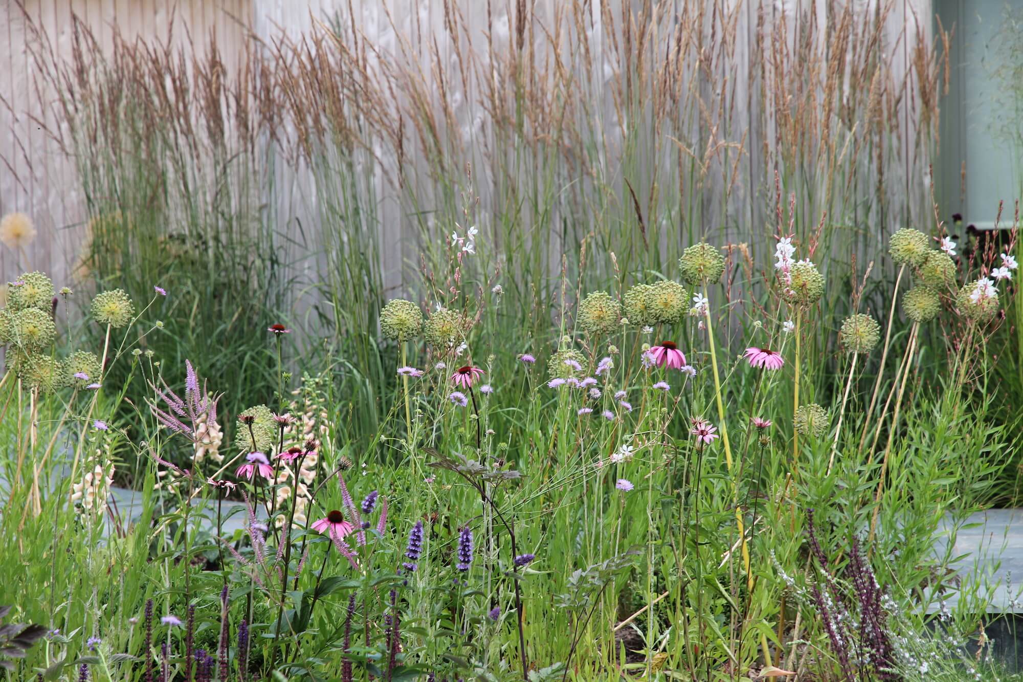 garden planting design in June