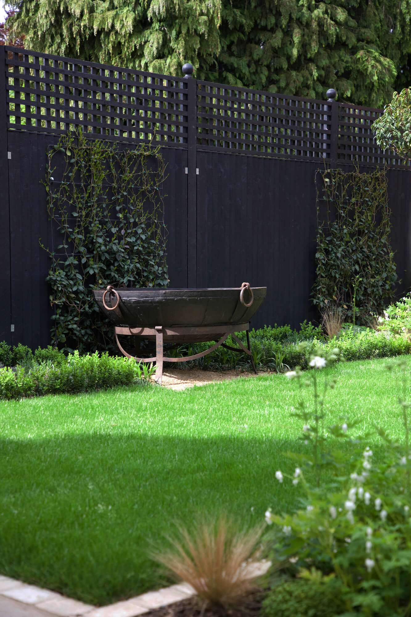 kaidai in Cotswolds garden with lawn