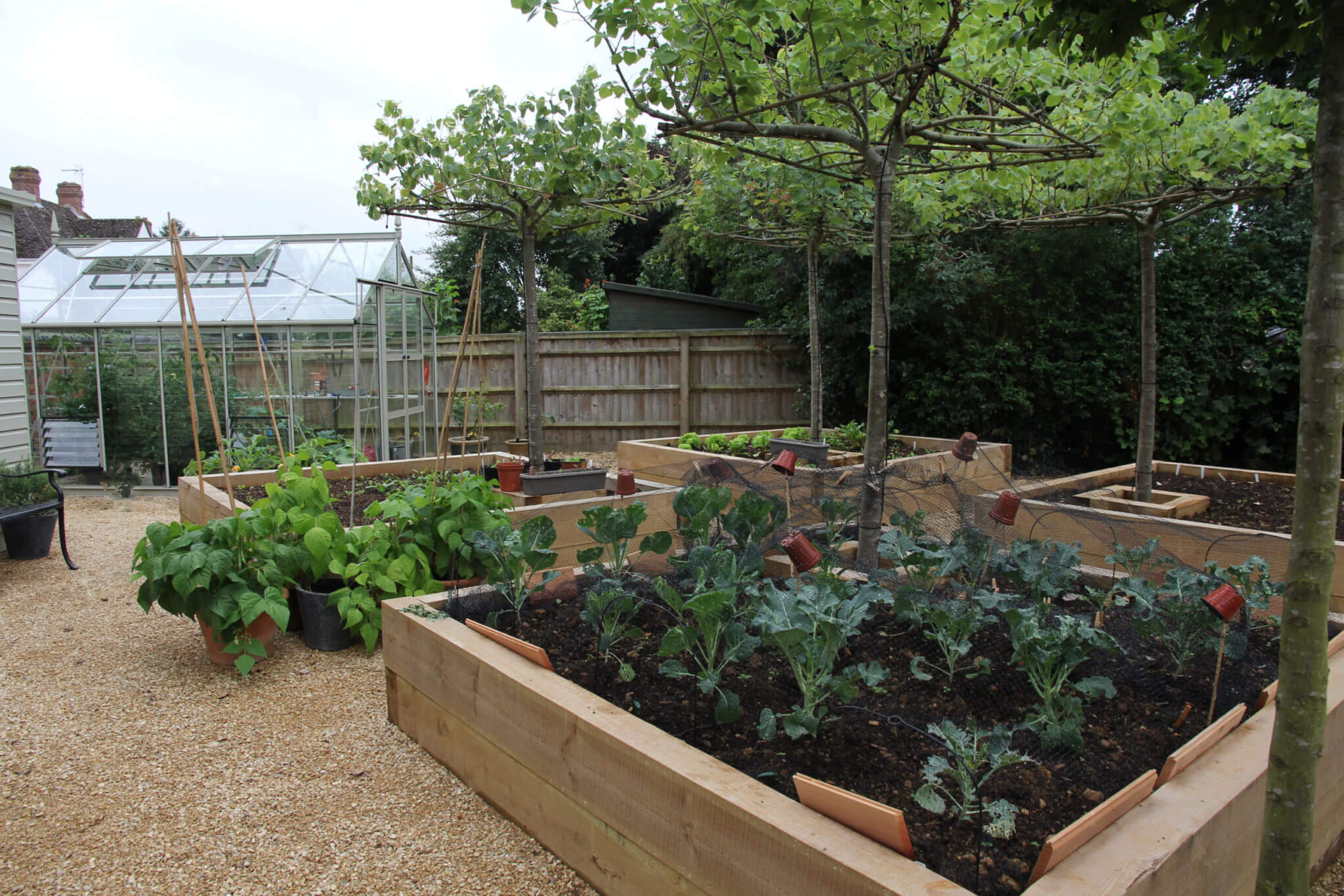 vegetable garden of raised sleepers