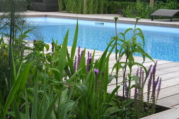 aqua swimming pool with deck and planting surround