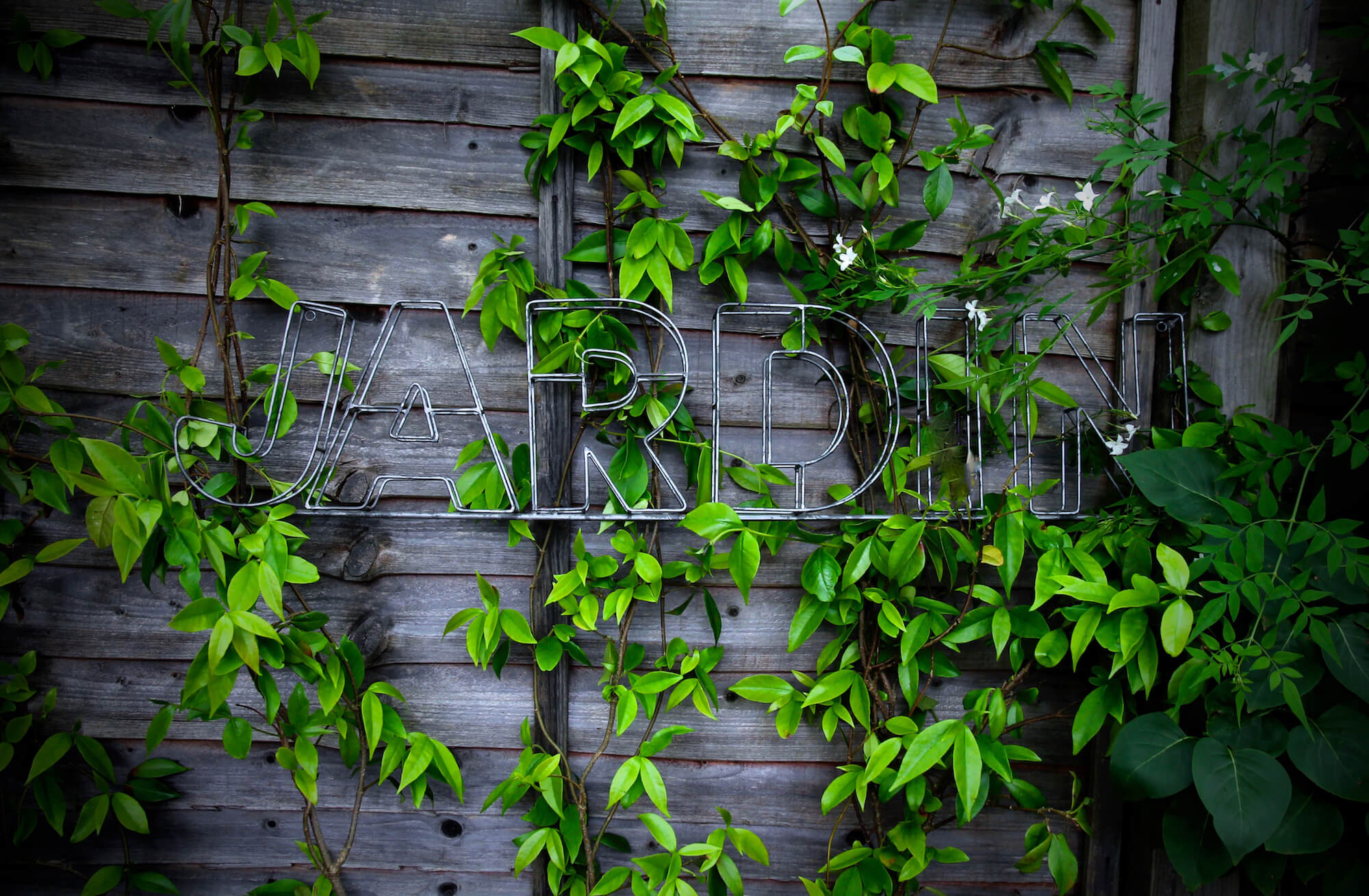 jardin garden design metal sign, fence and Jasmine