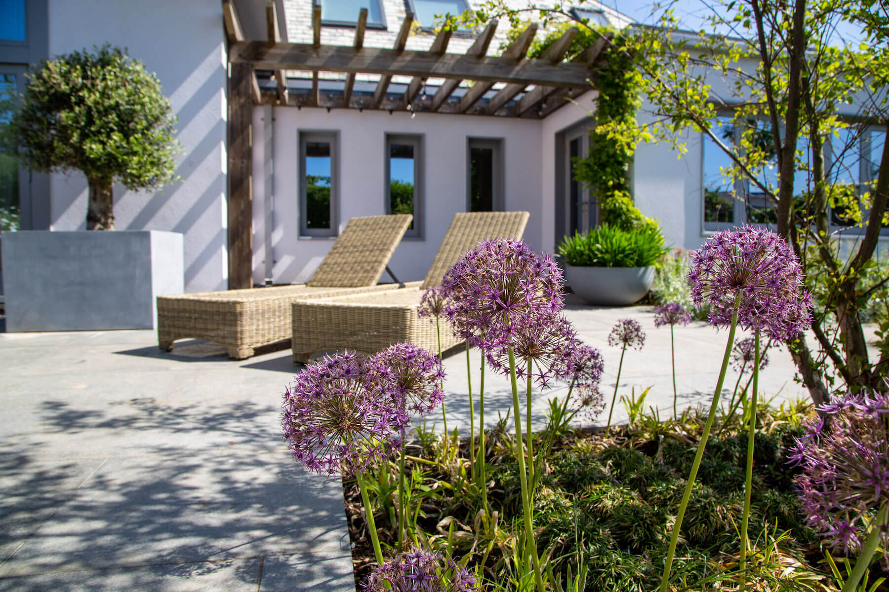 sunloungers by Neptune in a Cornwall garden