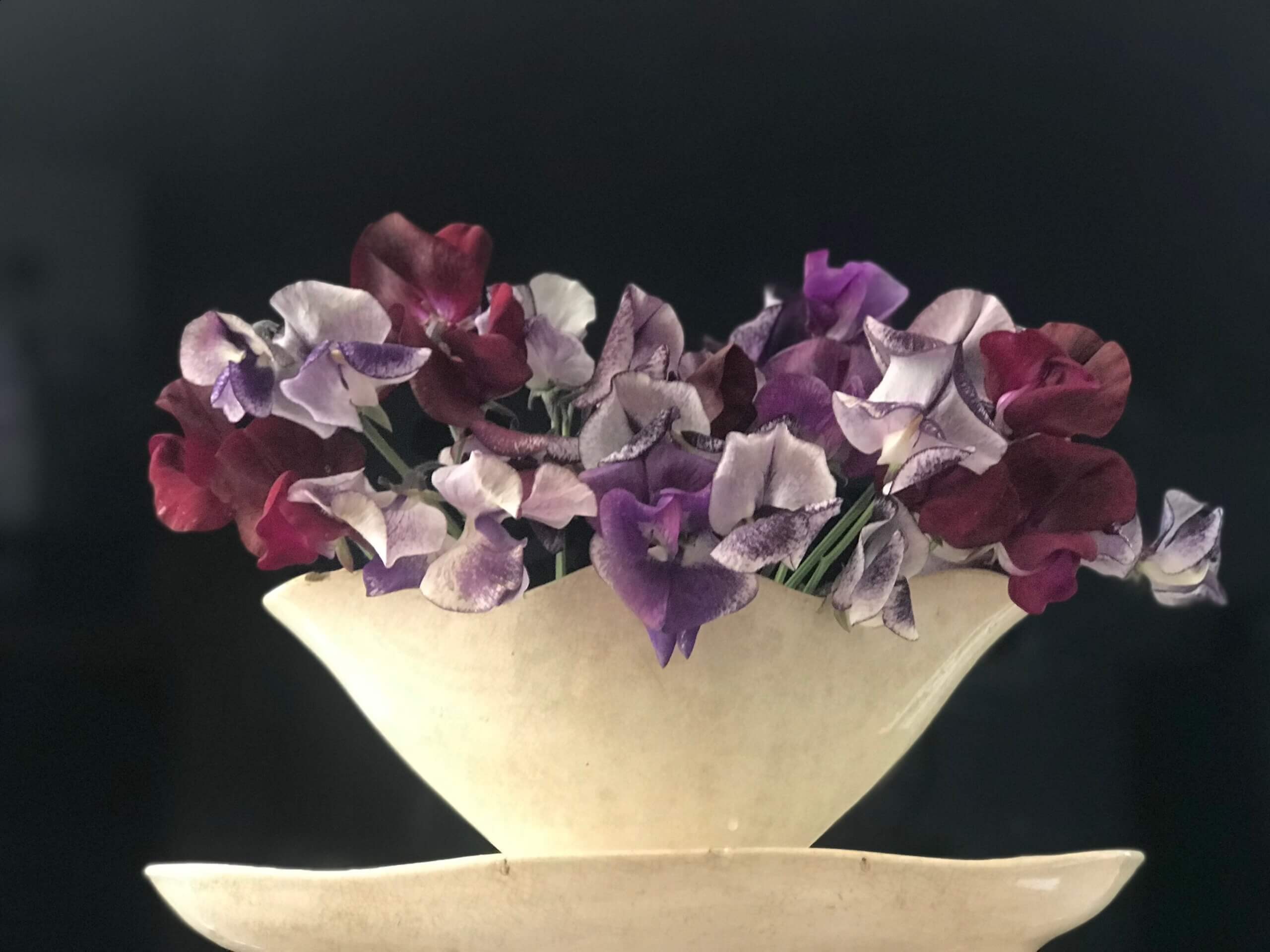 sweetpeas in a french vase on lack background