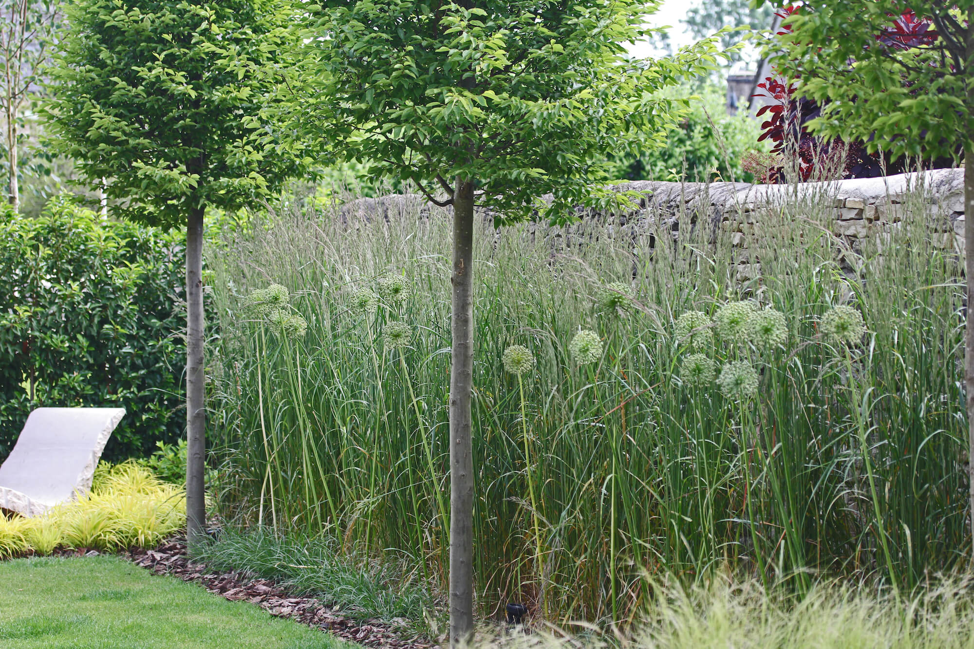 the bield of burford garden alliums and tall grasses