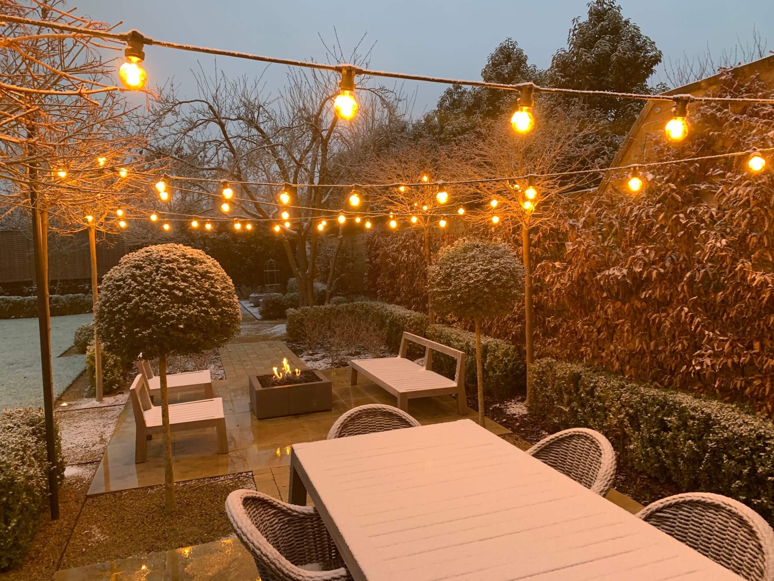 december garden with festoon lighting