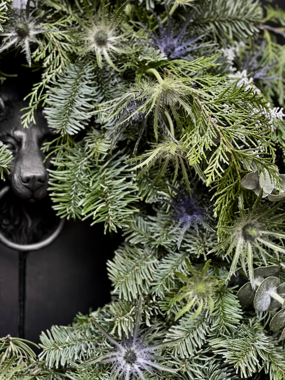 Close up of Christmas door wreath with thistle and fir
