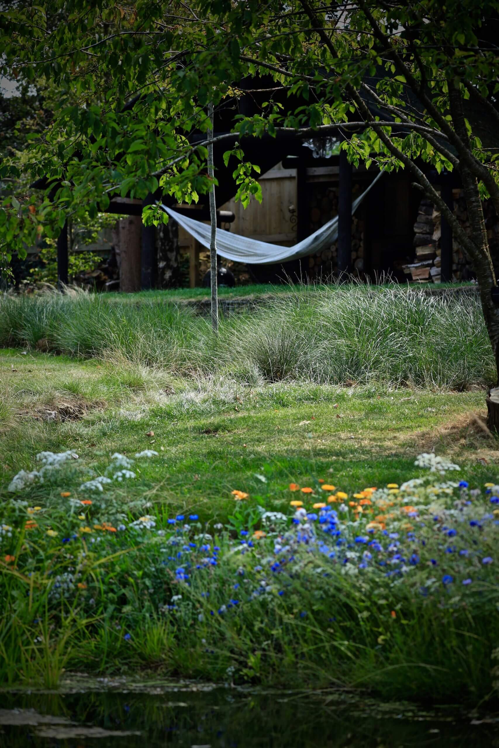 Hammock hanging over a water feature over a homegrown meadow