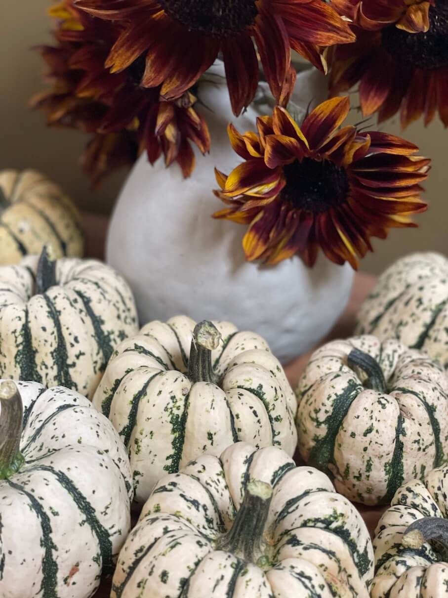 Homegrown white and green pumpkins from a self-sufficient garden with vase of flowers
