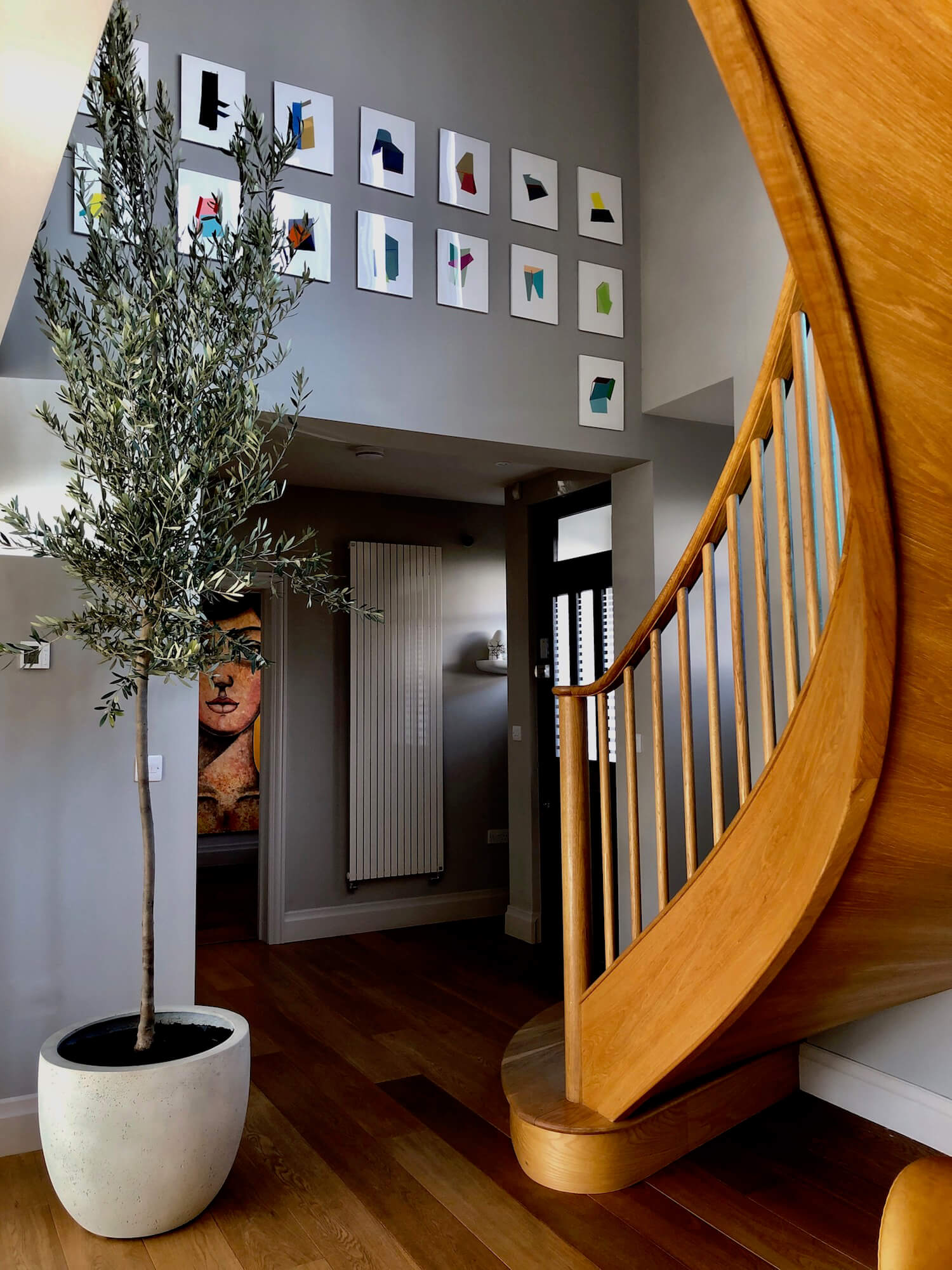 Olive tree indoors with gallery artwork and a twisted staircase 