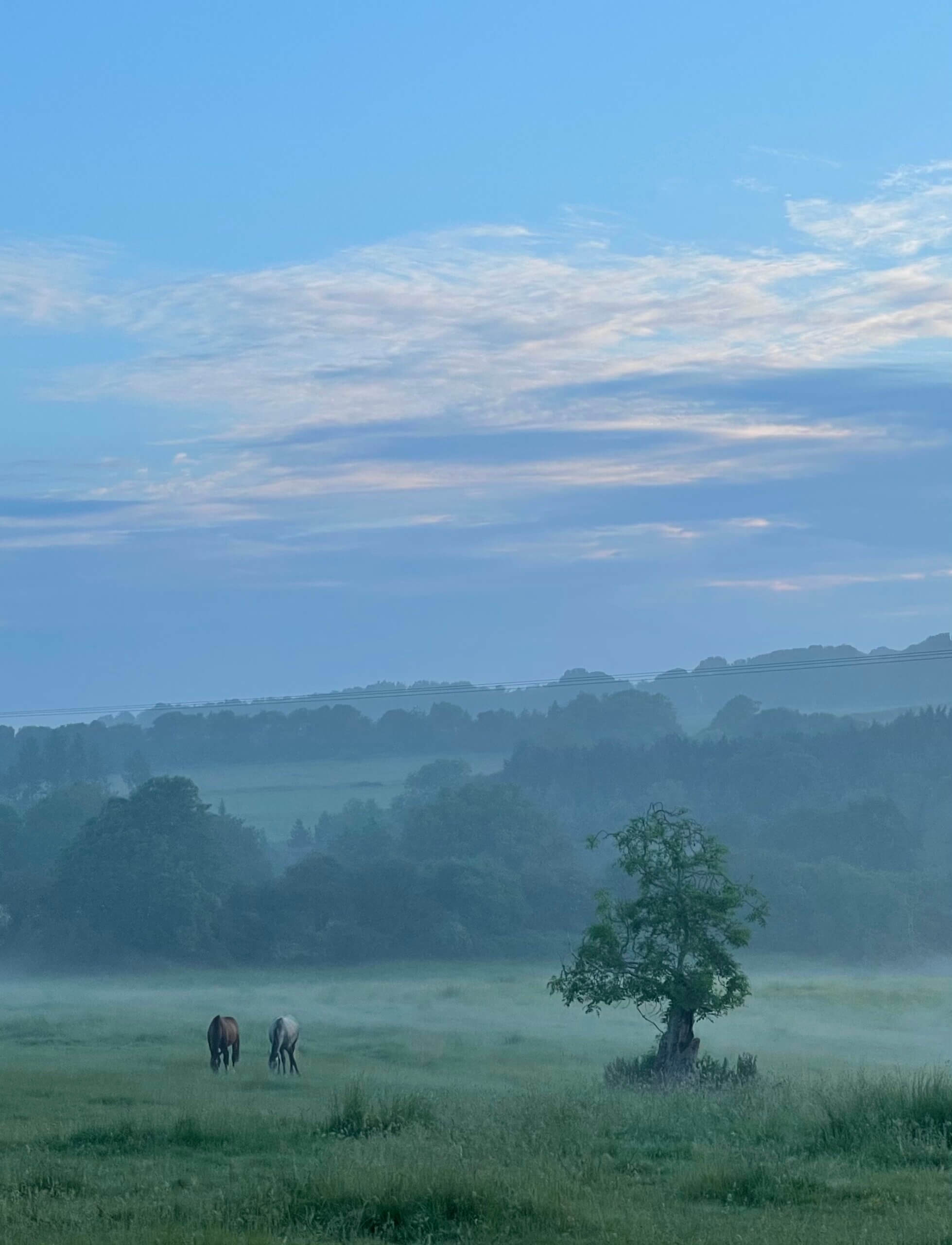 blue sky country with horses