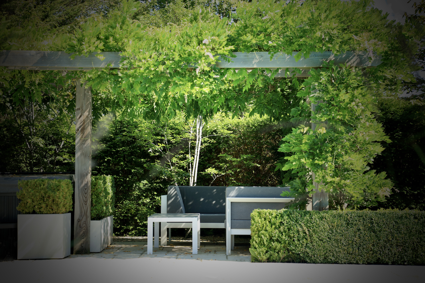 Wooden pergola with garden furniture and climbing wisteria