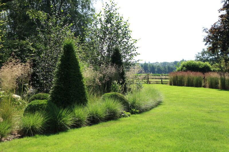 Landscaped garden with two triangular fir trees